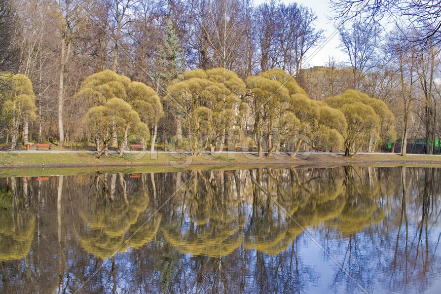 Суворовский парк