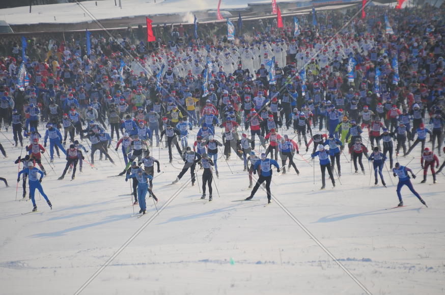Лыжная гонка Лыжня-России-2012 в подмосковной Яхроме. фото Сергей Шахиджанян 12 февраля 2012 года. 