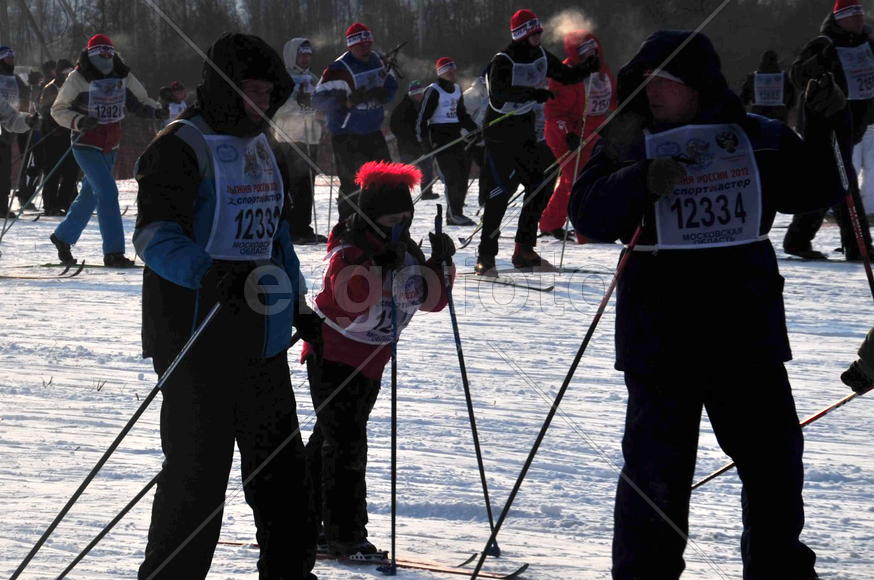 Лыжная гонка Лыжня-России-2012 в подмосковной Яхроме. фото Сергей Шахиджанян 12 февраля 2012 года. 