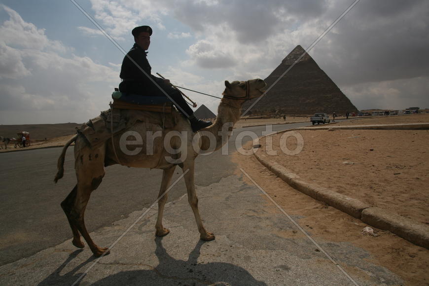 Пирамиды и человек на верблюде 