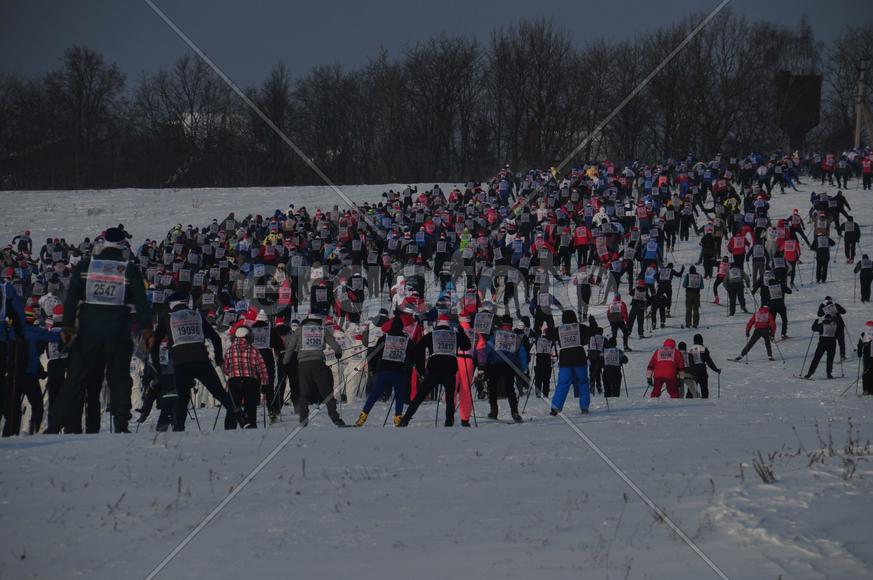 Лыжная гонка Лыжня-России-2012 в подмосковной Яхроме. фото Сергей Шахиджанян 12 февраля 2012 года. 