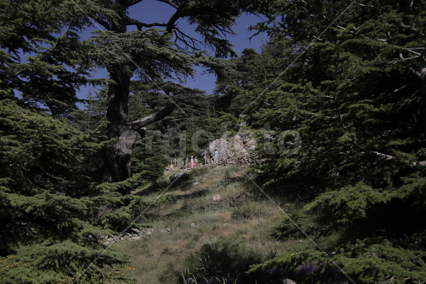 Туристические маршруты Ливана в горной местности 