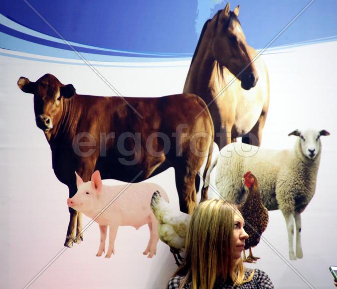 Девушка на фоне стены с изображением животных