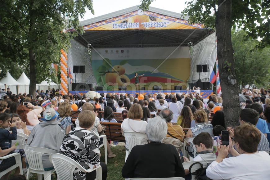 Праздник "Абрикос" в парке Музеон, 10 июля 2016 года. 