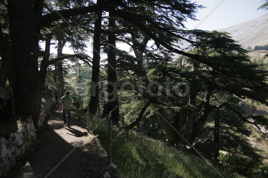 Туристические маршруты Ливана в горной местности 
