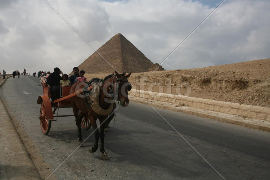 Пирамиды, люди и лошадь