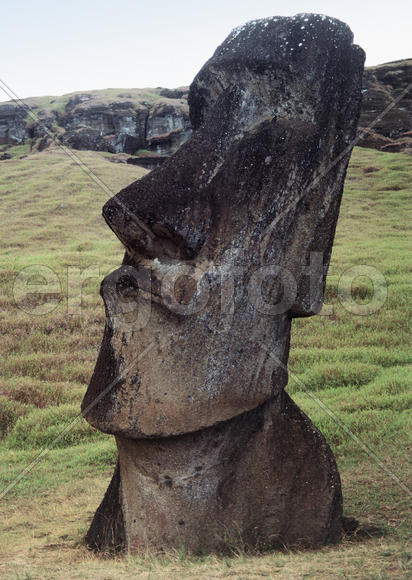 Moai 4
