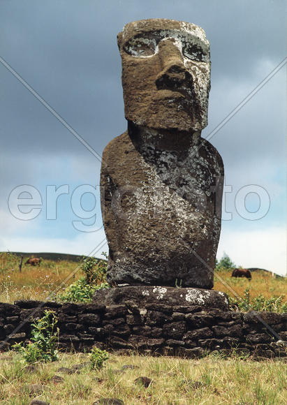 Moai 6