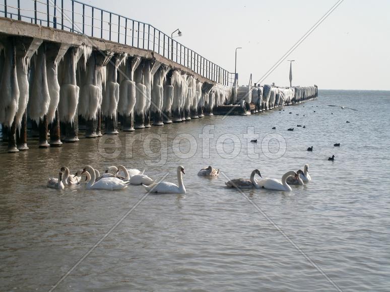 Зима в Коктебеле