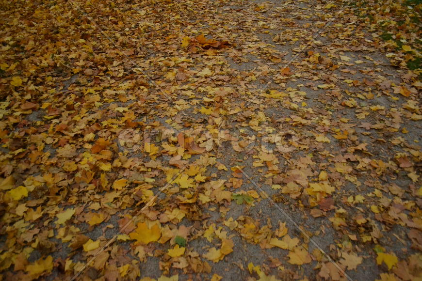 Изображение 345