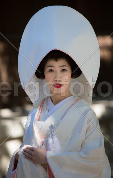 Японская леди