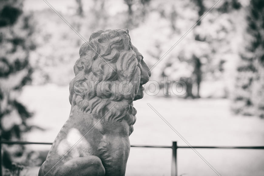 Скульптура льва из белого камня. Россия 