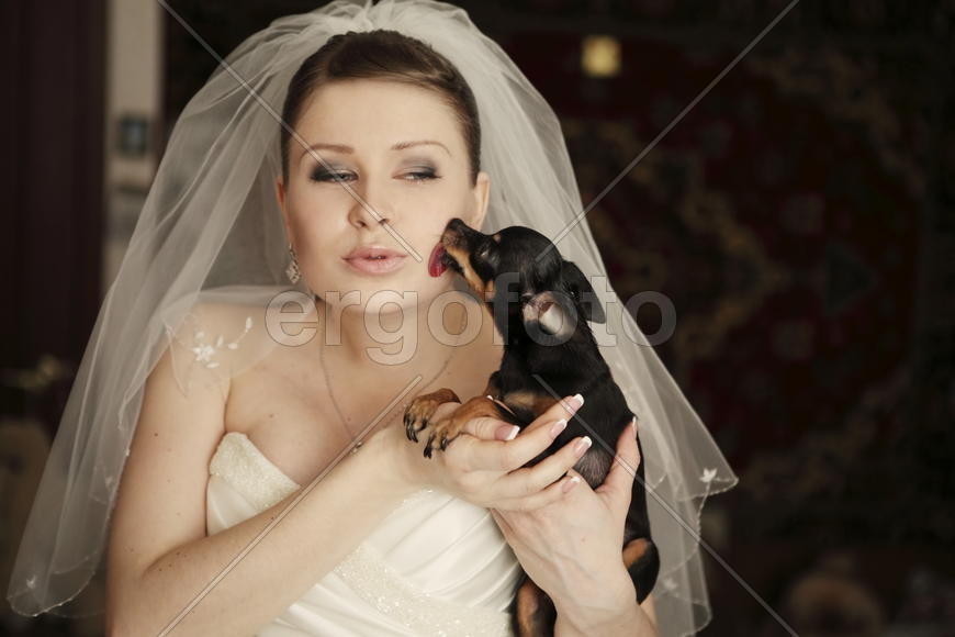 Невеста в фате с собачкой