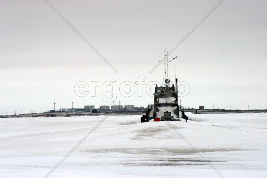 Во_льдах