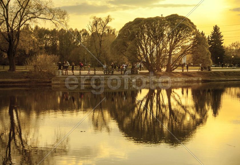 Ботанический сад