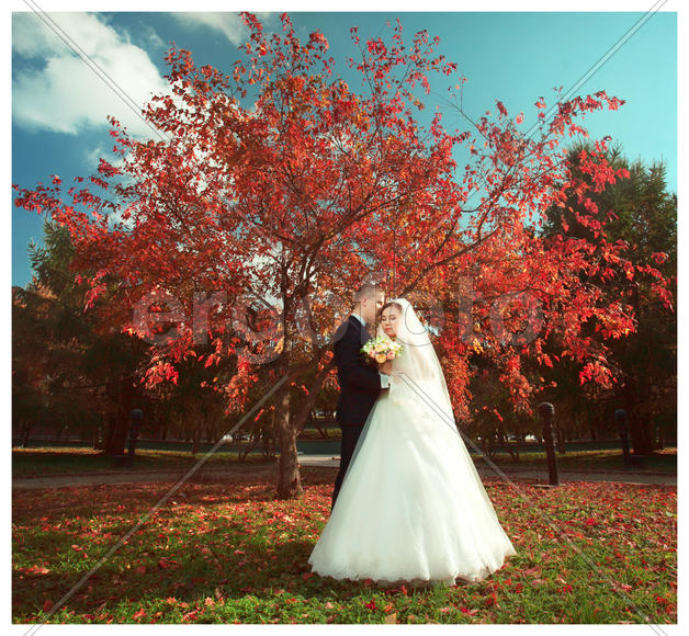 Жених и невеста под красным деревом