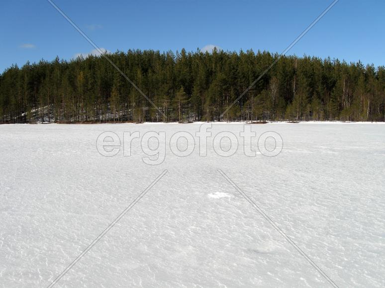 Лесное озеро в Карелии весной в солнечный день