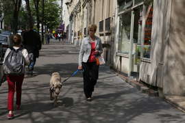 Дама с собачкой в Париже.