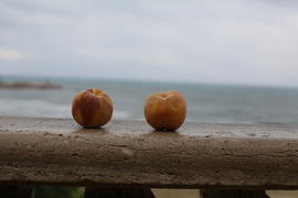 Одно море и два персика