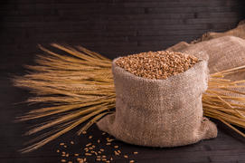 Пшеница в мешочке с колосками на темном фоне