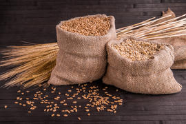 Зерна пшеницы и овсянки в мешочках на темном фоне