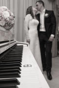 Свадебные кольца на клавишах