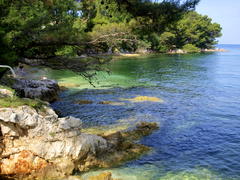 Вода, камни и деревья в Хорватии
