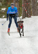 Лыжница и собачка