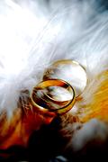 Золотые свадебные кольца на белом пере
