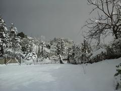 Зима в Батуми