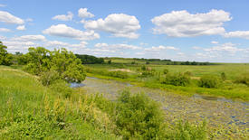 Река с кувниками и поле