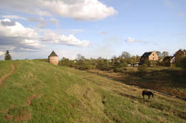 Великий Новгород. Башня и лошадь