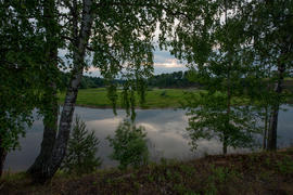 У берега реки Озерна летним вечером, Рузский район, Подмосковье, Россия
