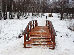 Мостик через речку и лесенка в гору в московском парке Тропарева