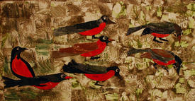  Неизвестные птицы с красной грудкой