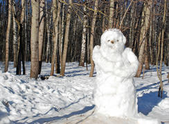 Снеговик в Московском парке Тропарево