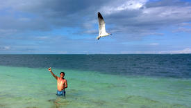 Mexican guy feeding seagulls in Cancun