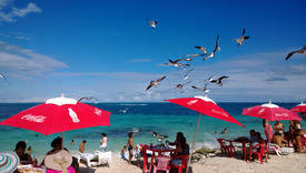 Seagulls on the beach in Cancun, Mexico