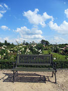 Скамейка в парке Рундальского дворца
