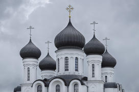 Беларусь, Барановичи: купола собора св. князя Александра Невского