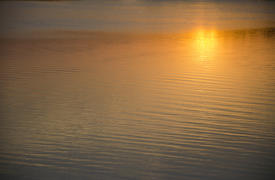 Беларусь: отражение заходящего солнца на воде