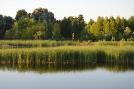 Пейзаж озера с отражением на воде 
