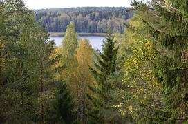 Лесное озеро:Национальный парк Нарочанский (Республика Беларусь)