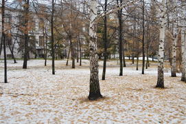 Первый снег поздней осенью 