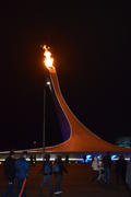 Сочи. Олимпийский парк ночью 
