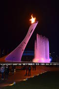 Сочи. Олимпийский огонь. Светомузыкальный фонтан.Факел в ночи