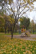 Пейзаж золотой осени в городском парке