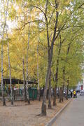 Пейзажи золотой осени в городе  и городских парках 