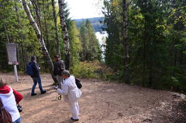 Туристы гуляют по зеленому лесу 