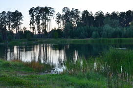 Вечер. Лесное озеро: озеро Лебяжье (Казань)